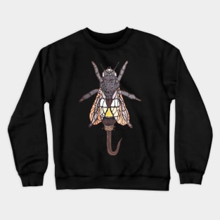 Candyman Crewneck Sweatshirt